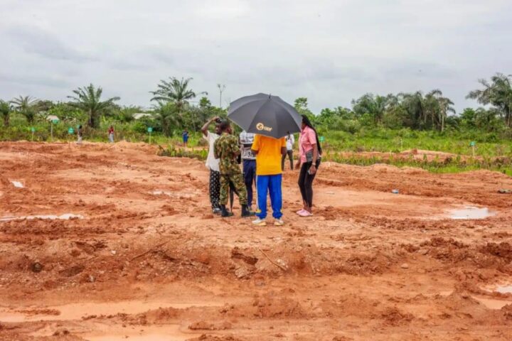 Epe Gardens 2 — photo 12