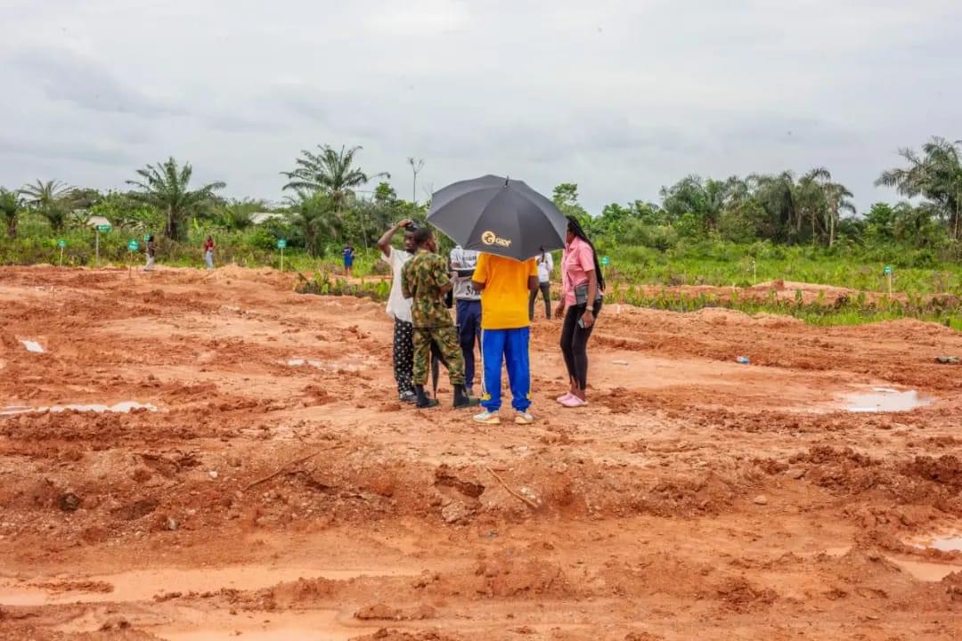 Epe Gardens 2 — photo 13