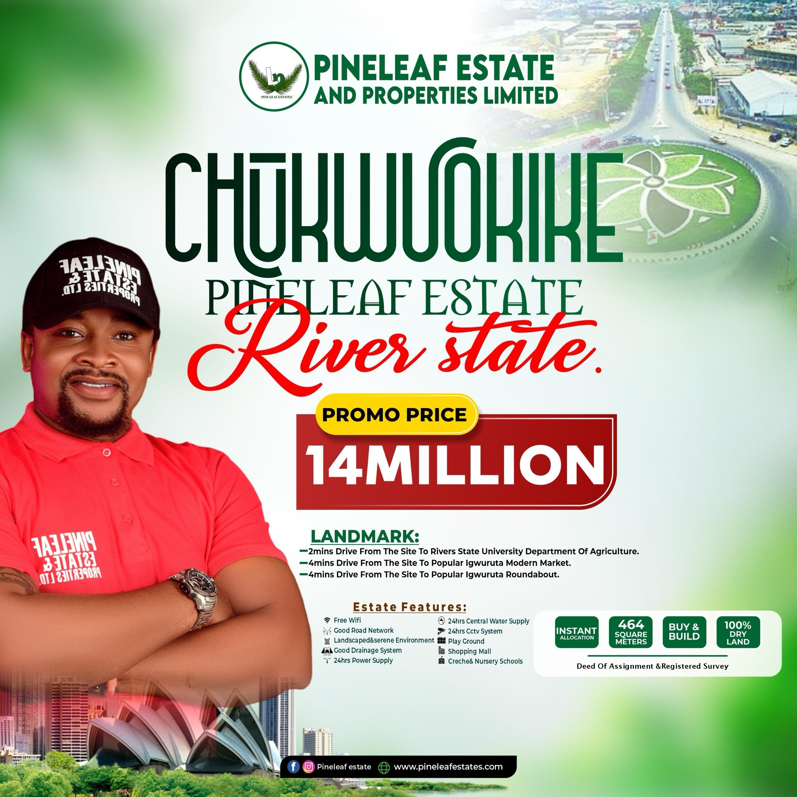 Chukwuokike — photo 2