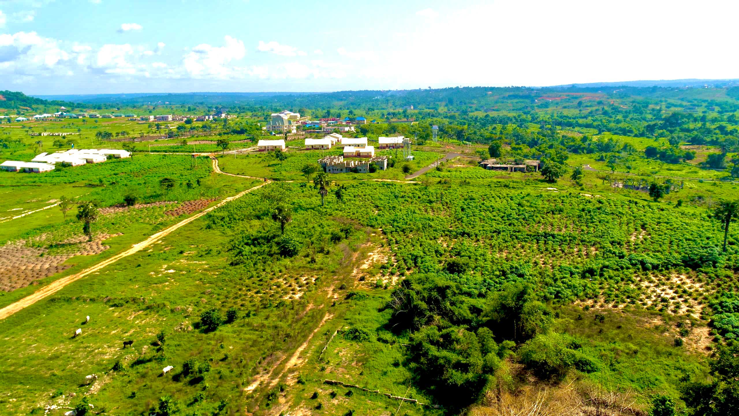 Eziafakaego — photo 2