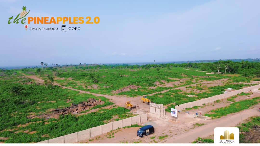 Land For Sale In The Pineapples 1.0, Imota, Ikorodu, Lagos. — photo 1