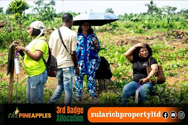 Land For Sale In The Pineapples 2.0, Imota, Ikorodu, Lagos. — photo 1