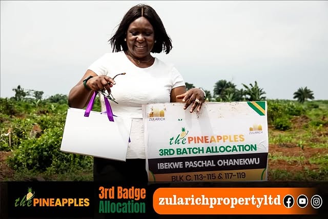 Land For Sale In The Pineapples 2.0, Imota, Ikorodu, Lagos. — photo 2