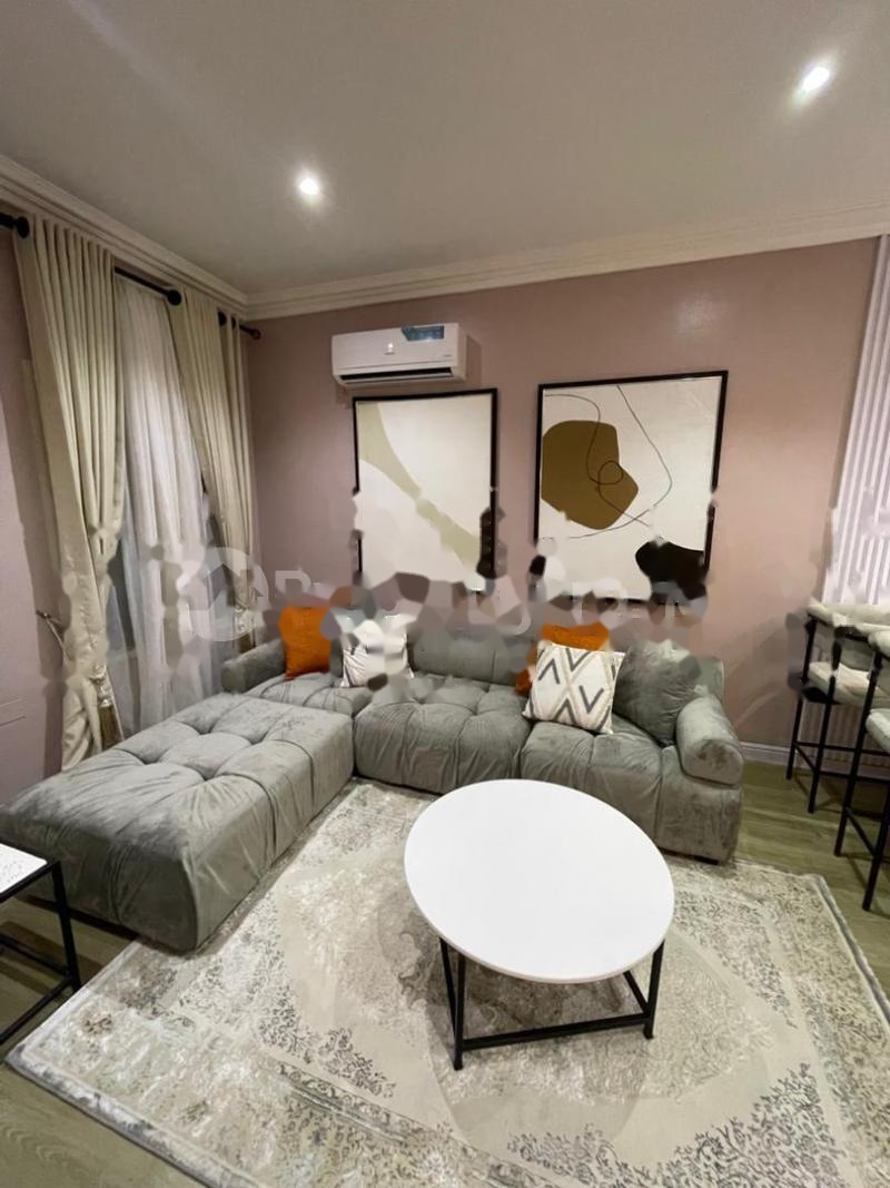 1 bedroom mini flat Mini Flat, Flat Apartment in Lekki Phase 1 Lekki Lagos | Mini Flat, Flat Apartment for shortlet in Lekki | Mini Flat, Flat Apartment in Lekki | 1 bedroom mini flat