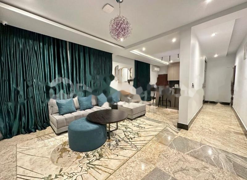 1 bedroom mini flat Flat Apartment in Wuse 2 Abuja | Flat Apartment for shortlet in Wuse 2 | Flat Apartment in Wuse 2 | 1 bedroom mini flat