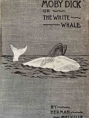 Read Moby Dick; Or, The Whale