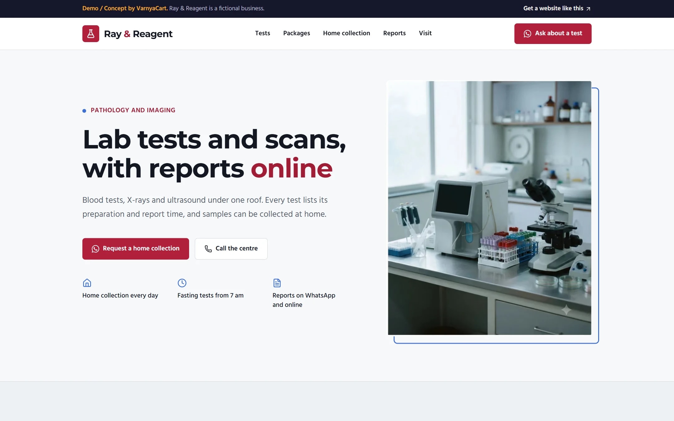 The Ray & Reagent demo website on a desktop screen