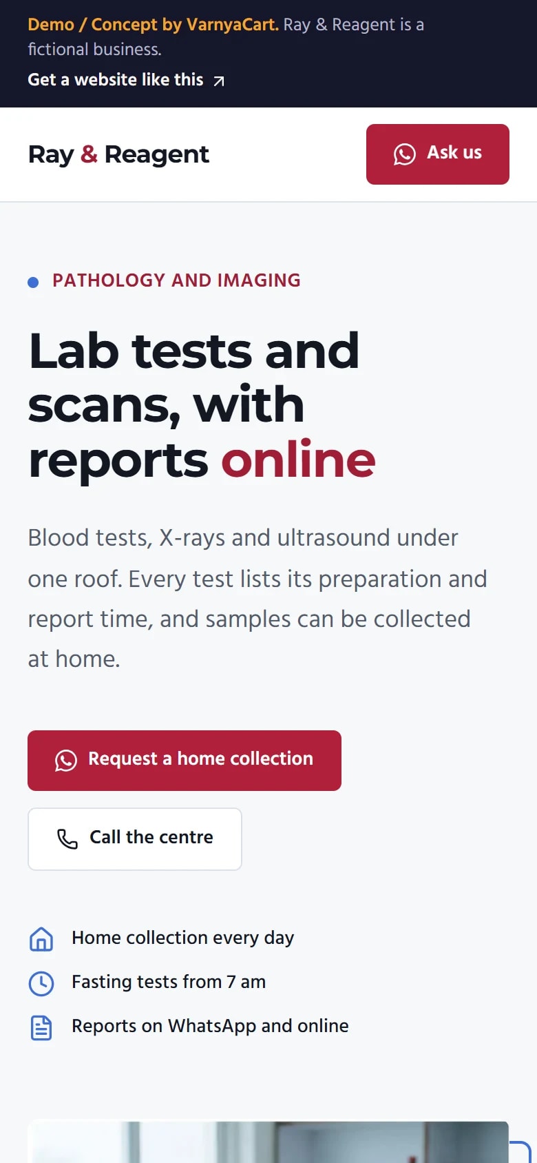 The Ray & Reagent demo website on a phone