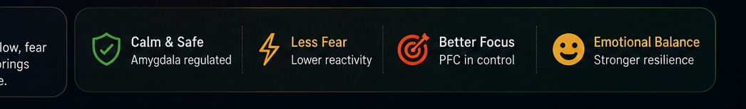 Four outcome badges: Calm and Safe (amygdala regulated), Less Fear (lower reactivity), Better Focus (PFC in control), Emotional Balance (stronger resilience)