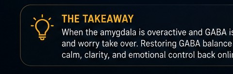 Takeaway: when the amygdala is overactive and GABA is low, fear and worry take over; restoring GABA balance brings calm, clarity, and emotional control back online