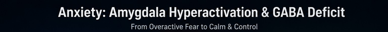 Anxiety: Amygdala Hyperactivation and GABA Deficit — from overactive fear to calm and control