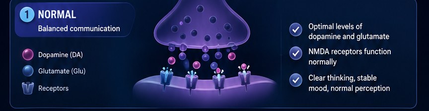 Normal — balanced communication: optimal dopamine and glutamate, NMDA receptors function normally, clear thinking and stable mood