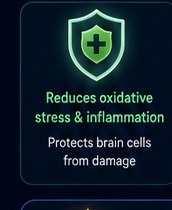 Mechanism 1 — Reduces oxidative stress and inflammation; protects brain cells from damage