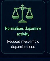 Mechanism 3 — Normalises dopamine activity; reduces mesolimbic dopamine flood