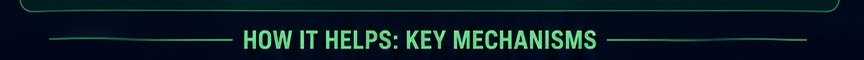 How it helps: key mechanisms
