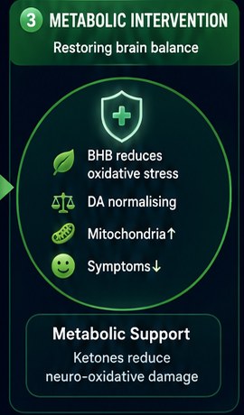 Panel 3 — Metabolic intervention: BHB reduces oxidative stress, dopamine normalising, mitochondria up, symptoms down