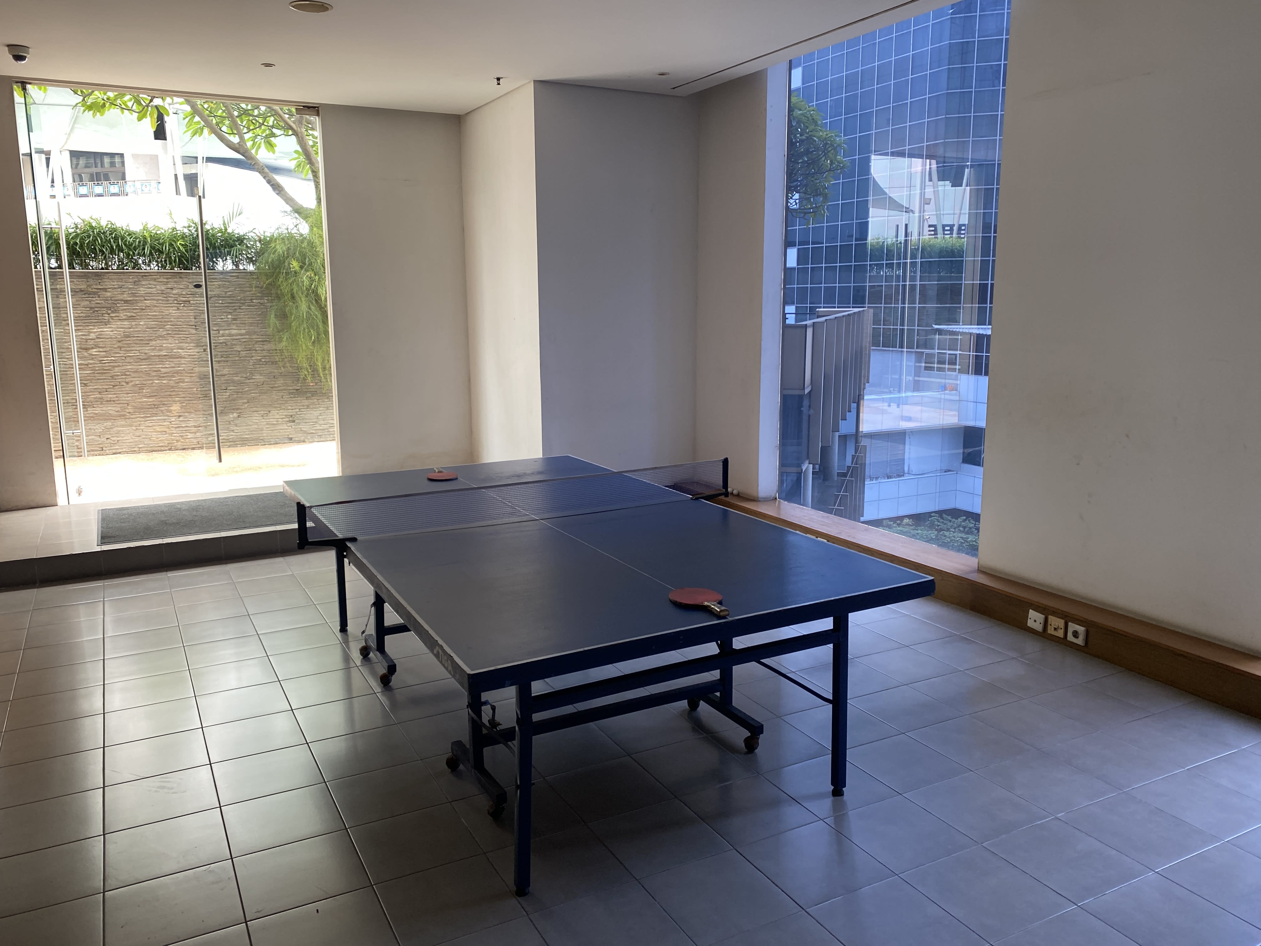 Ping Pong Table