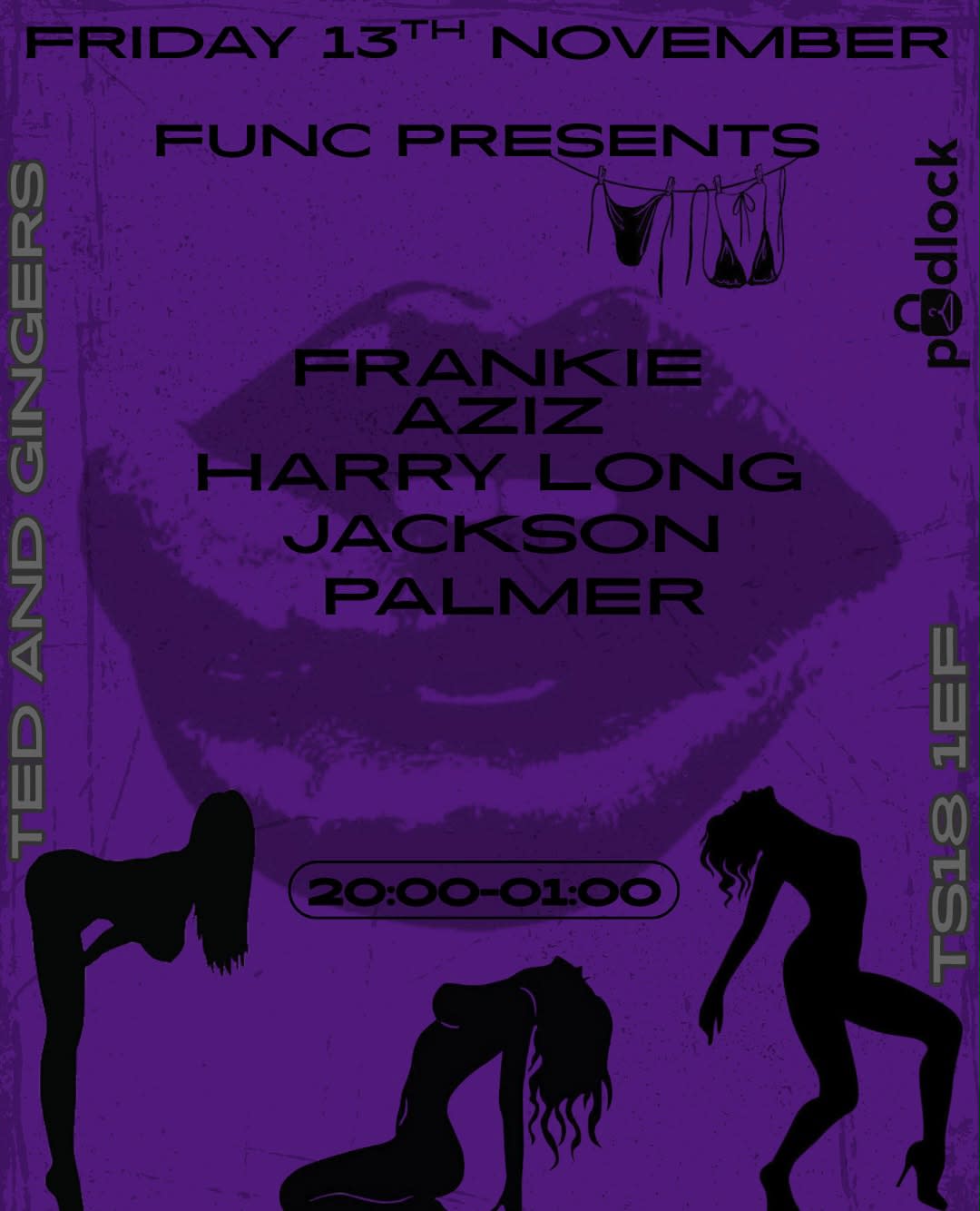 Func Presents: Ted and Gingers poster