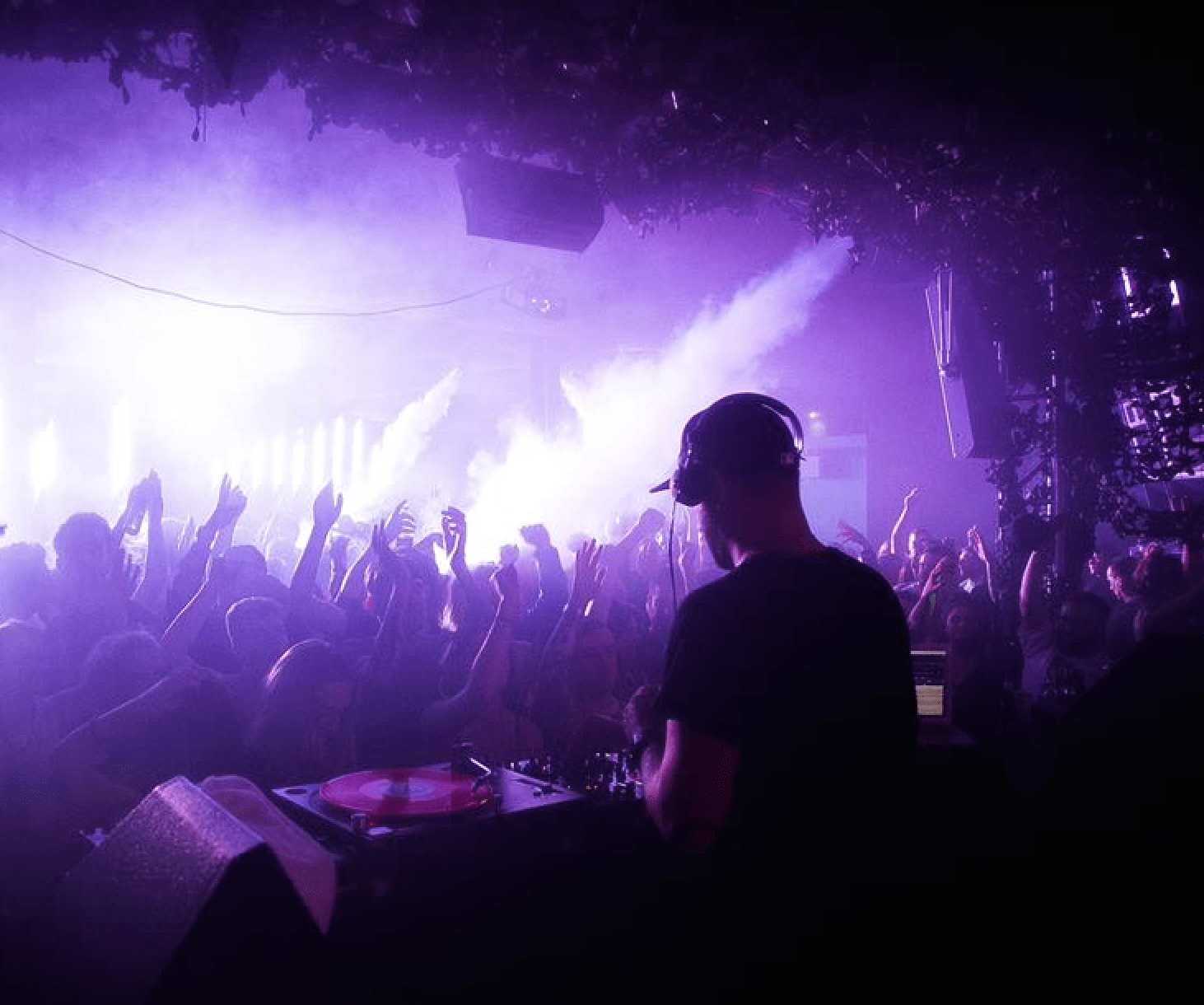 Mint Warehouse