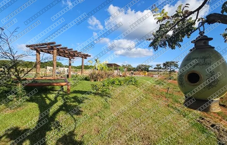 Campo