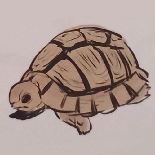 Tepsekemei's natural form, an Egyptian tortoise.