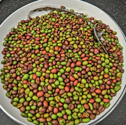 Colombian Coffee (Harvest & Roast Process)