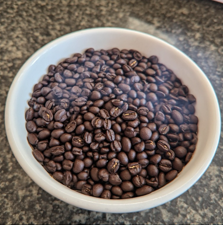 Liberica Coffee (Harvest & Roast Process)