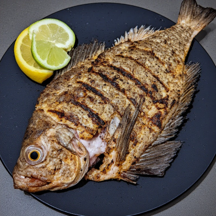Catfish (Hito) - Grilled