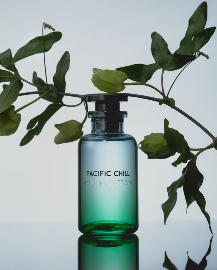 باسيفيك تشيل