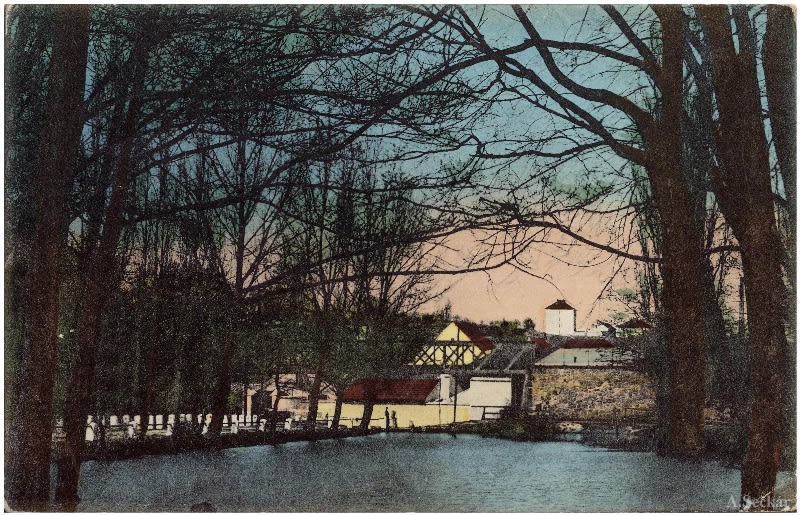 Restaurace U Labutě