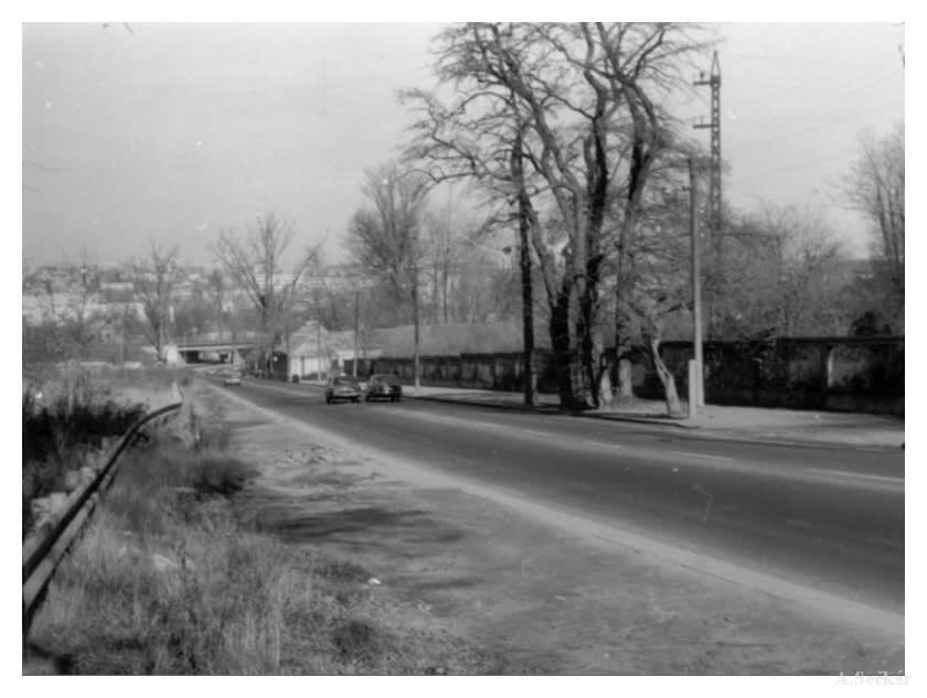 Restaurace U Labutě