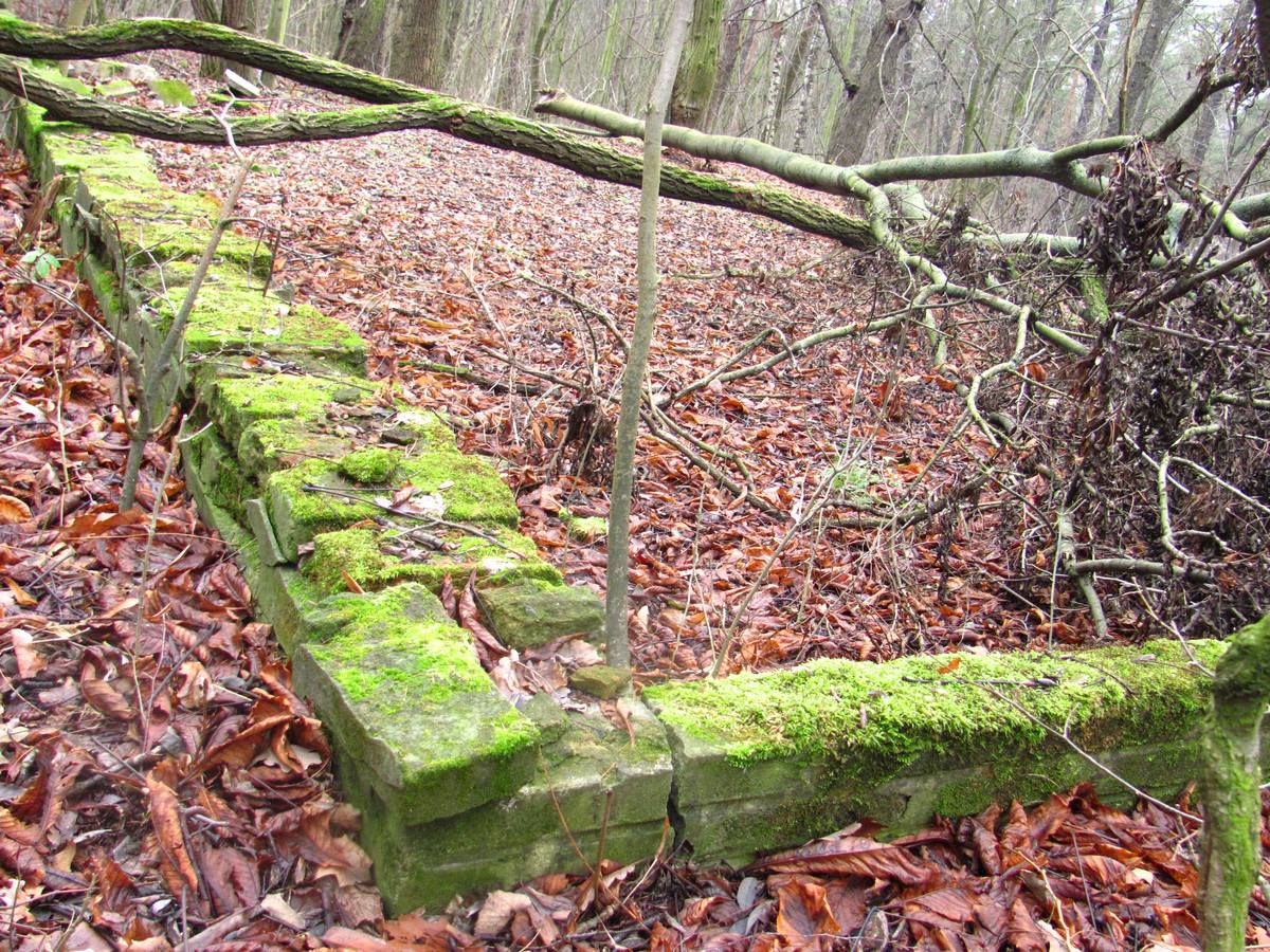 Zbytky Restaurace Hájovna