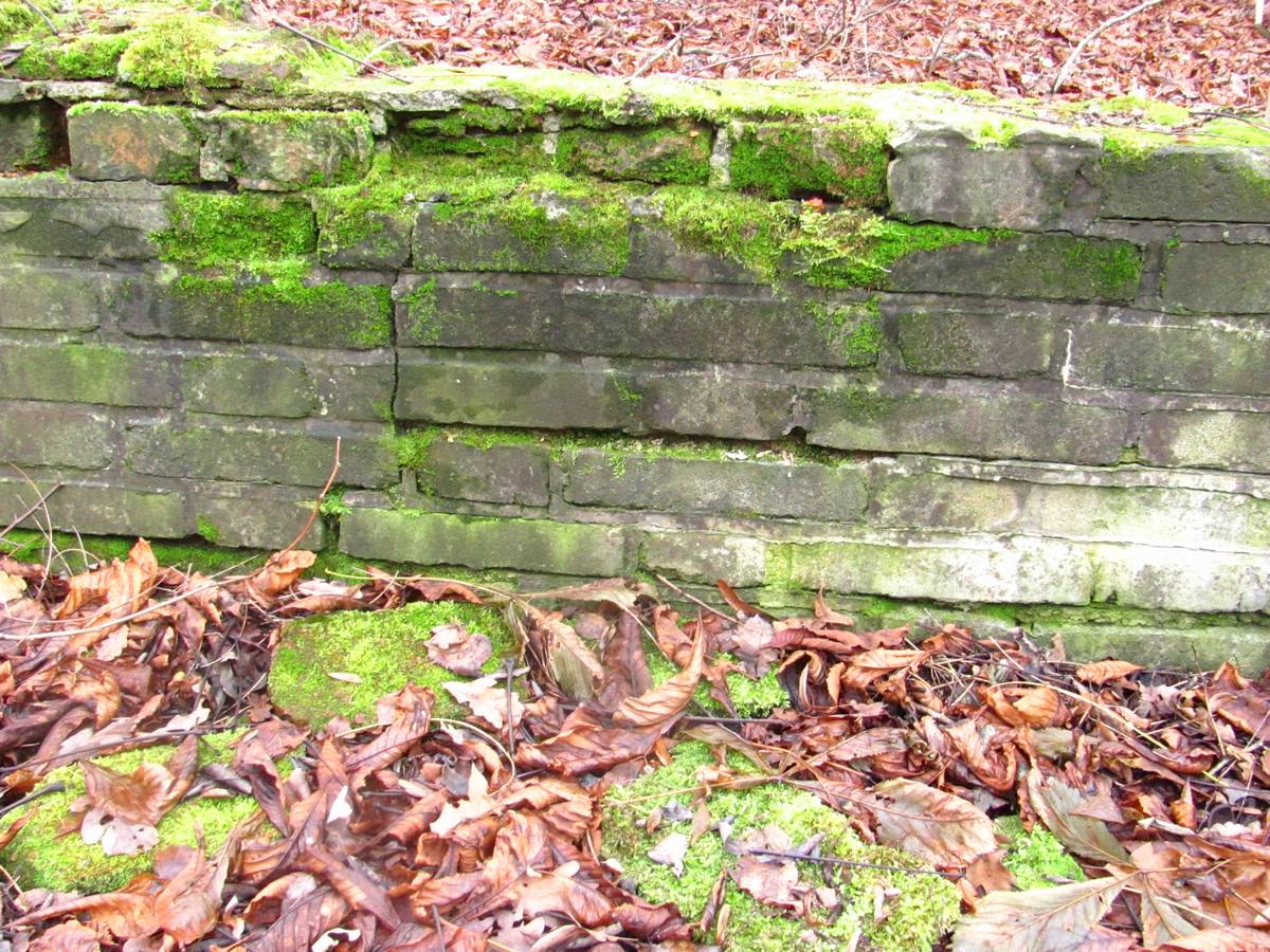 Zbytky Restaurace Hájovna