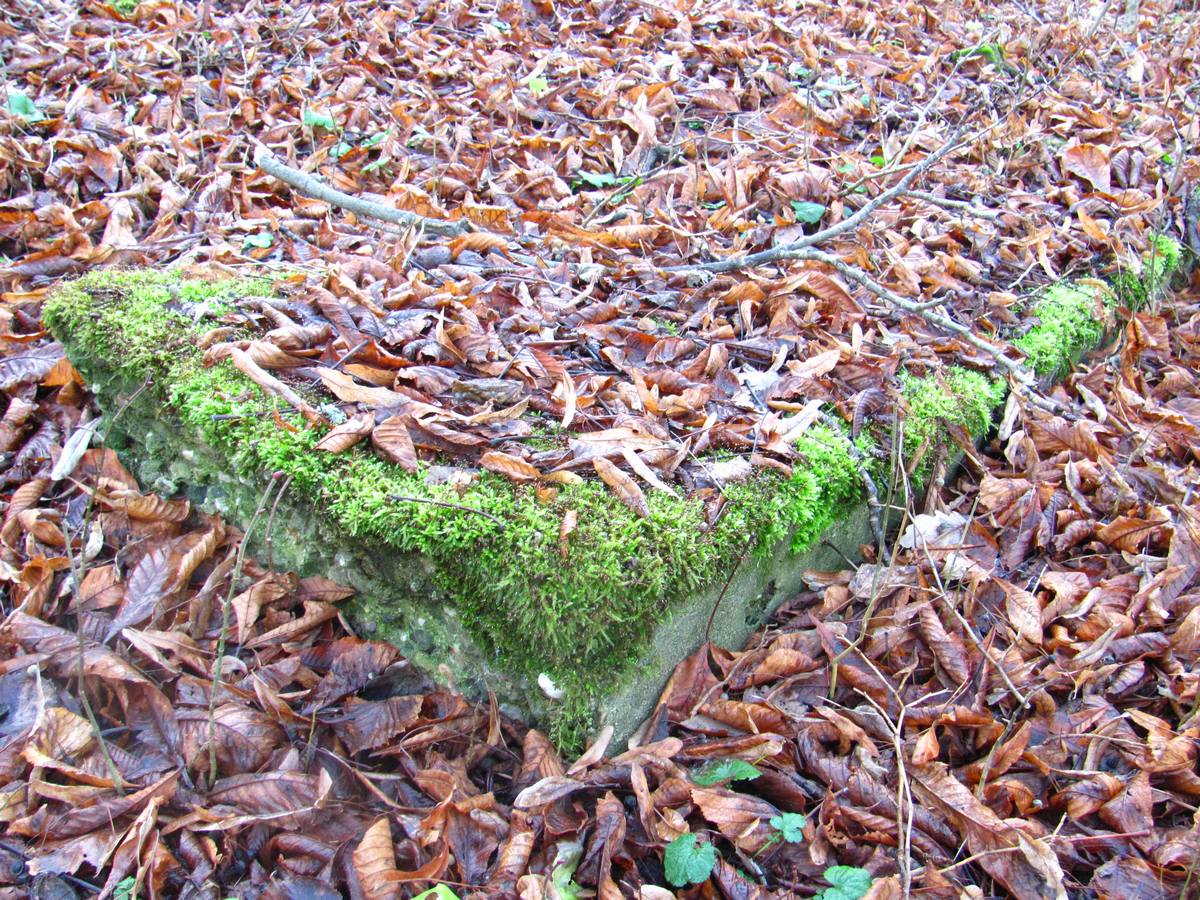 Zbytky Restaurace Hájovna