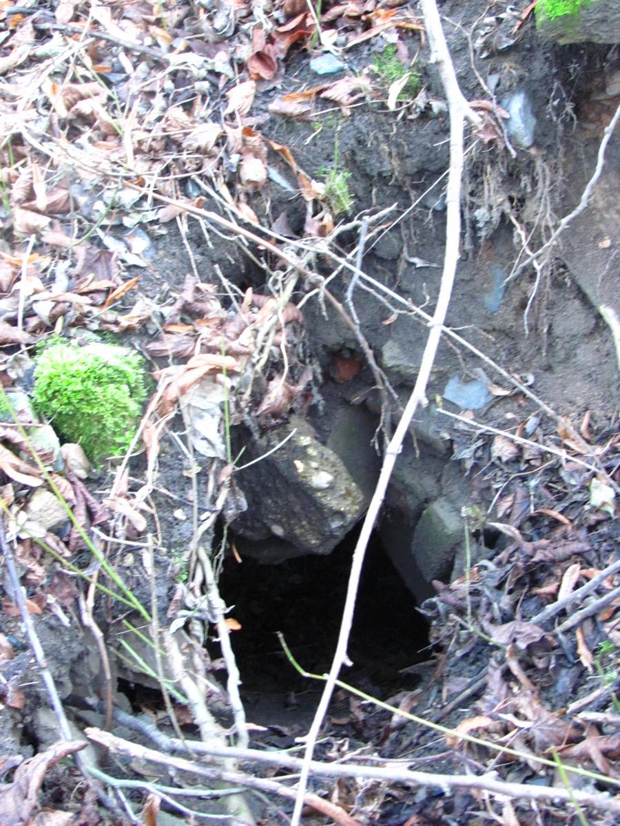 Zbytky Restaurace Hájovna