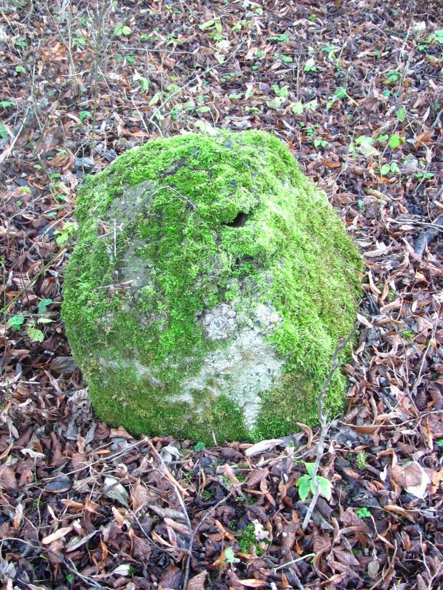 Zbytky Restaurace Hájovna