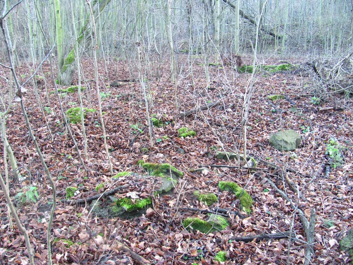 Zbytky Restaurace Hájovna