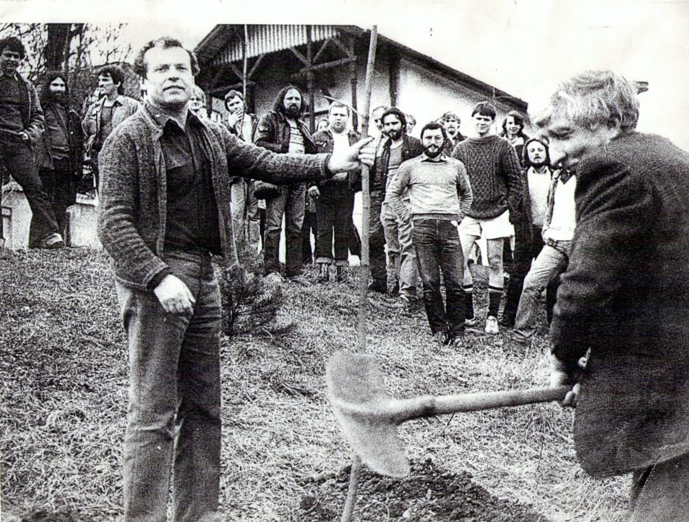 Sázení stromků - John Updike