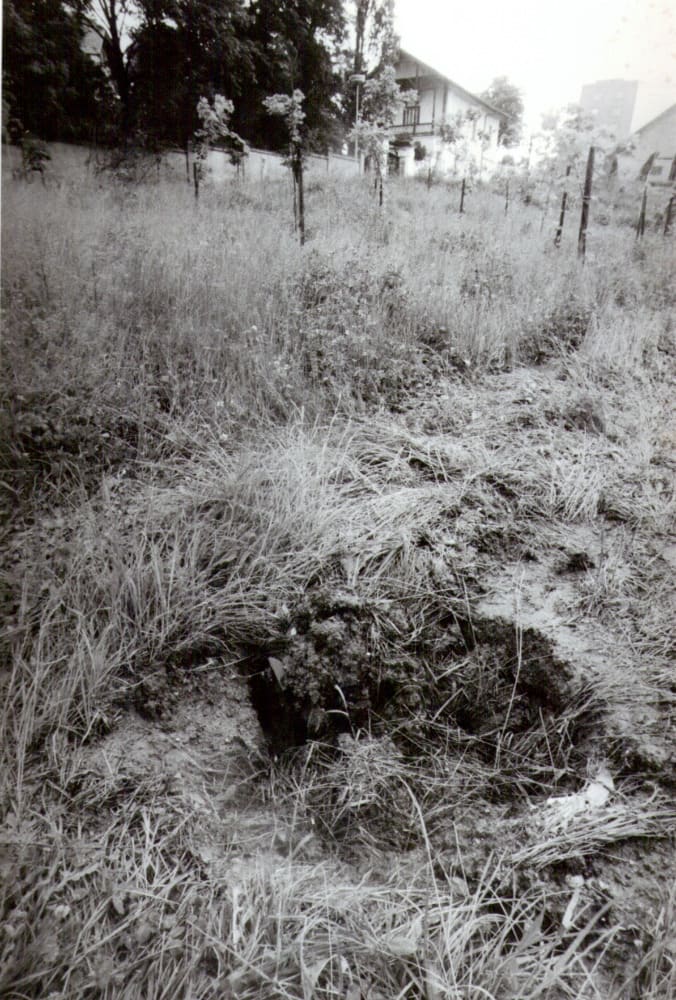 Památník OSN -&nbsp;ukraden