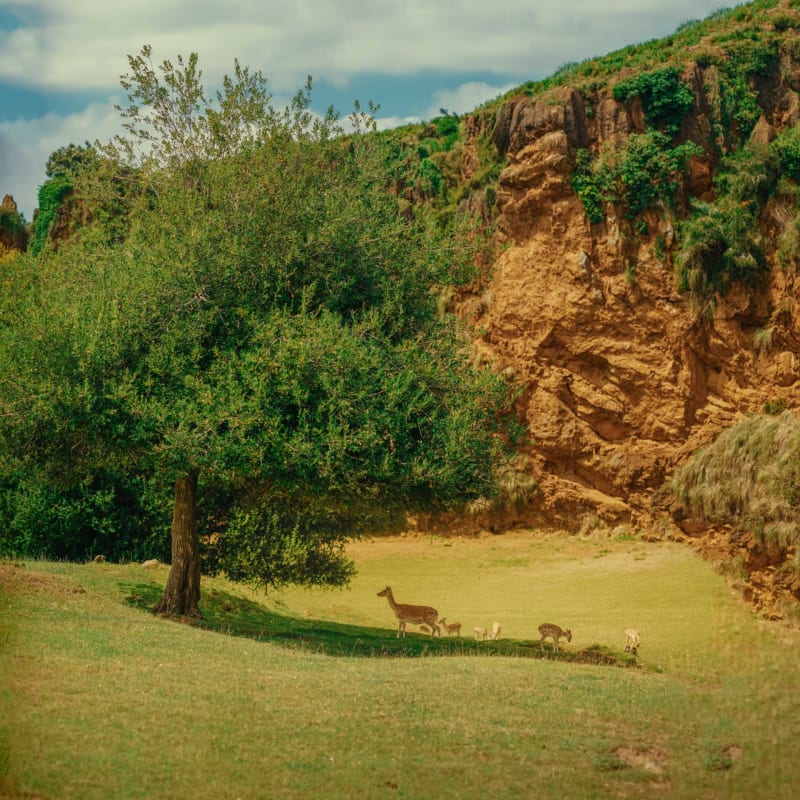 paysage/12_tina_mimika_photographer_landscape_photography_medium_format_sonyalpha_pentax67_b319zv