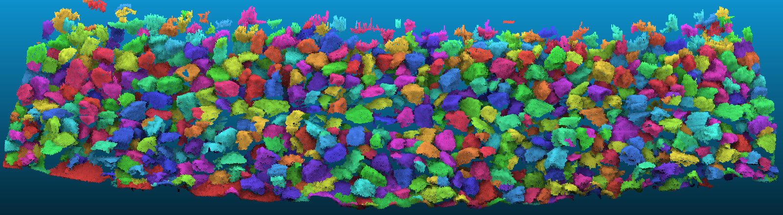 photos SEABIM