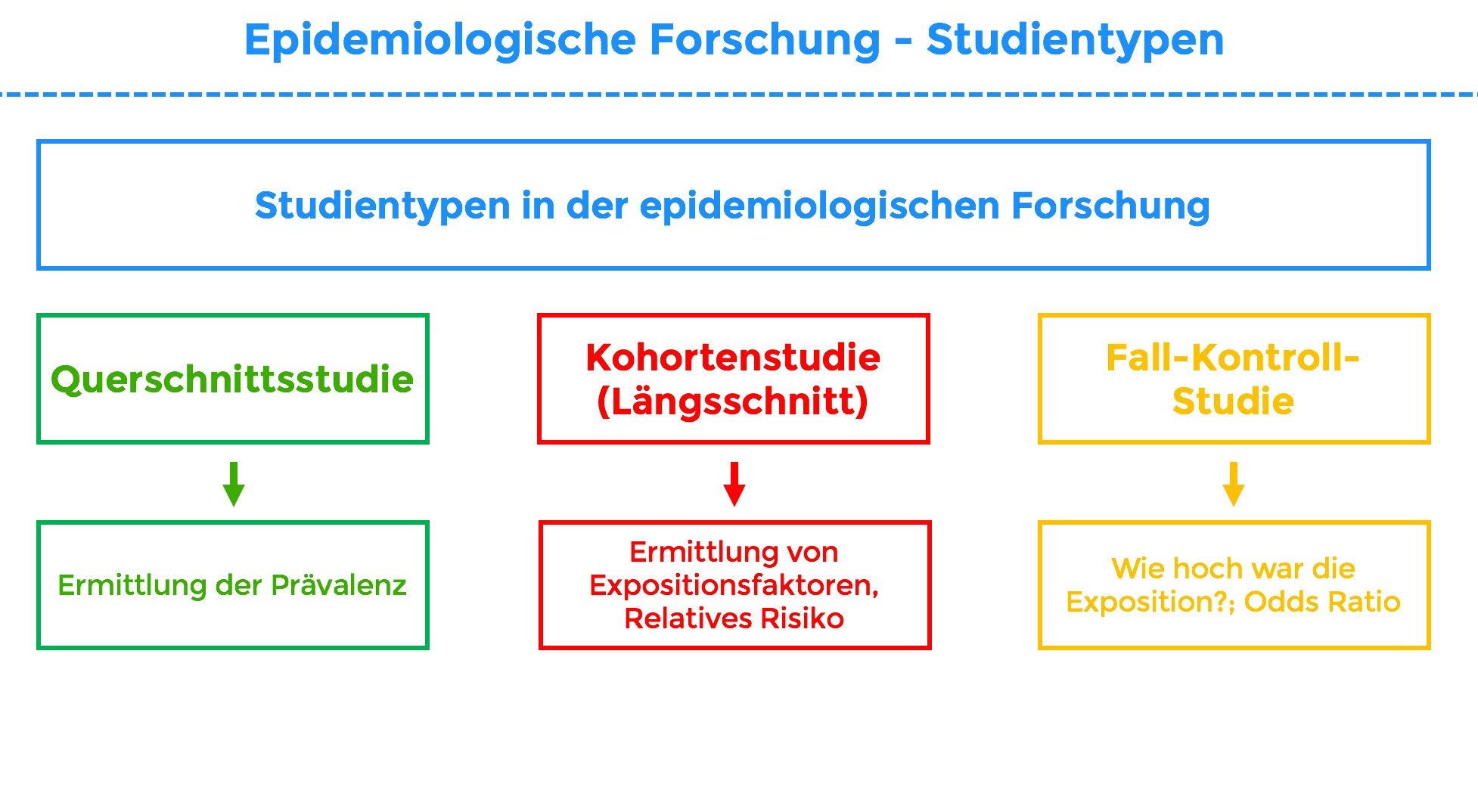 FallKontrollStudie sportbachelor