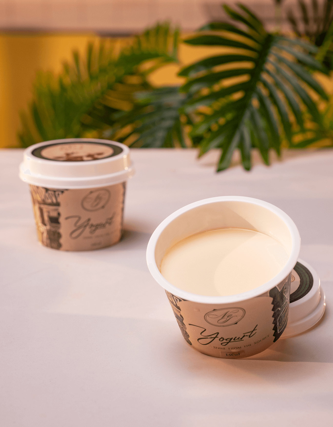 Mặt váng sữa non (Signature)