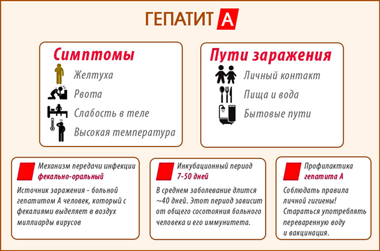 Гепатит в вакцина схема