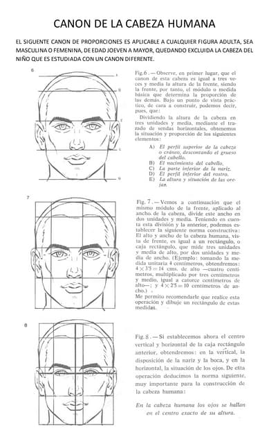 Cómo dibujar: La cabeza humana y el retrato