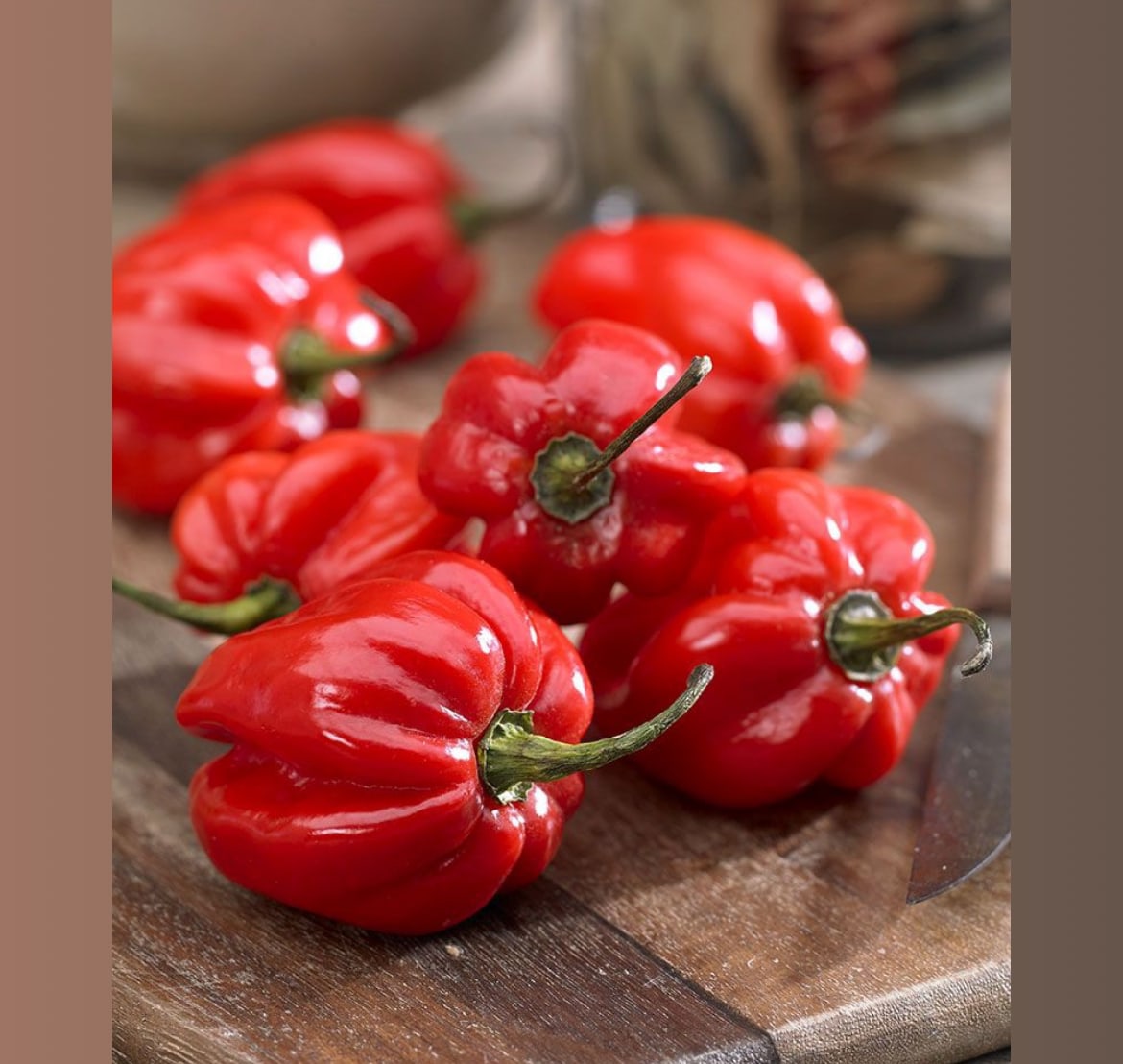 Fresh Habanero