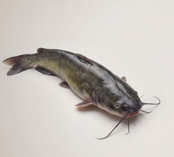 Frozen Cat Fish 800g