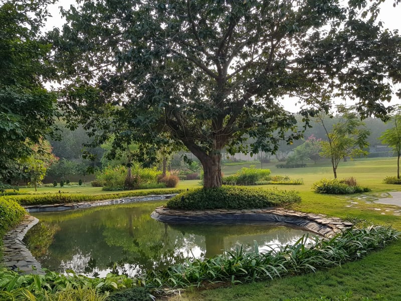 Jindal House, Angul — detail 2