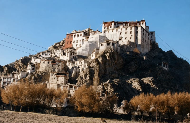 Spituk Monastery — detail 1