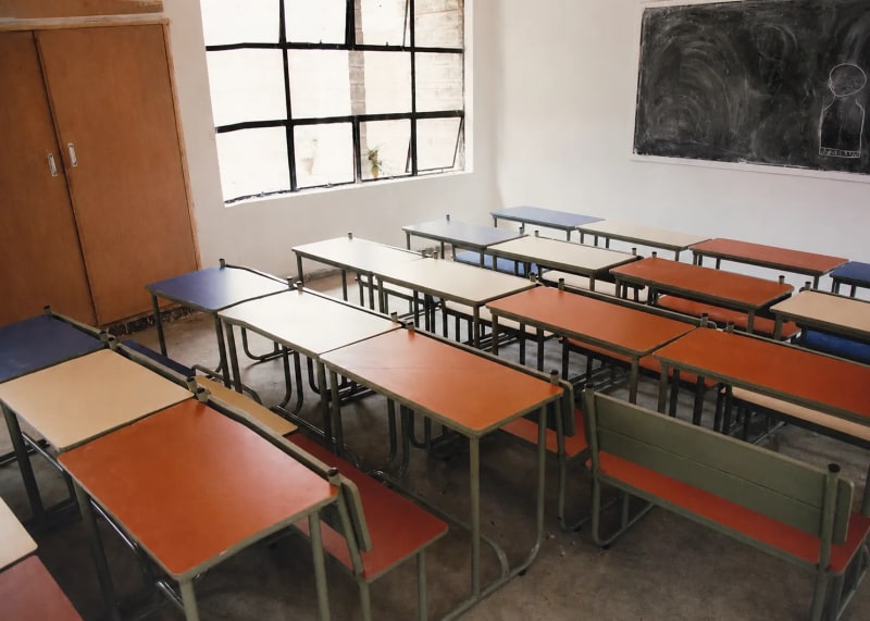 NGRI School — detail 1